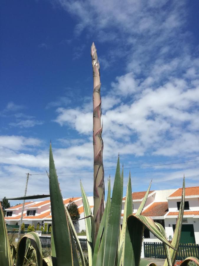 Casa Praia E Ria Torreira Eksteriør bilde